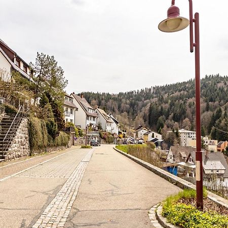 Ferienappartement Sonnenhof Triberg im Schwarzwald Екстериор снимка