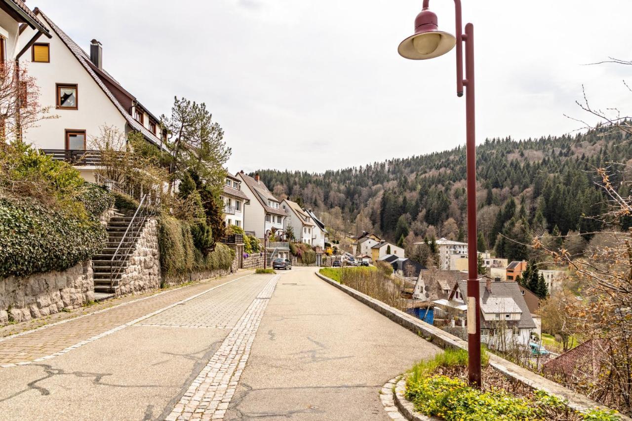 Ferienappartement Sonnenhof Triberg im Schwarzwald Екстериор снимка